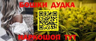 индика Моздок