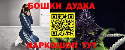 индика Моздок