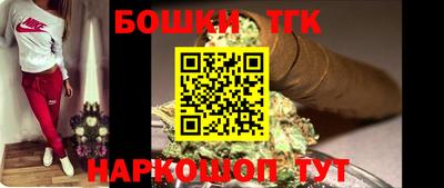индика Моздок