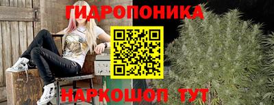 COCAINE Можга