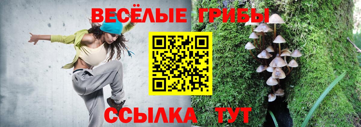 Галлюциногенные грибы GOLDEN TEACHER  Вход с VPN  Тулун 