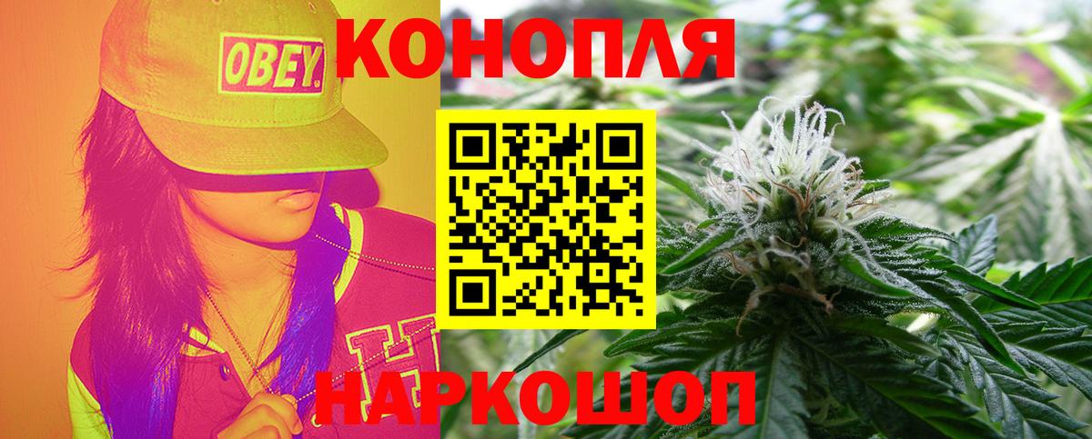 Шишки марихуана OG Kush Тулун